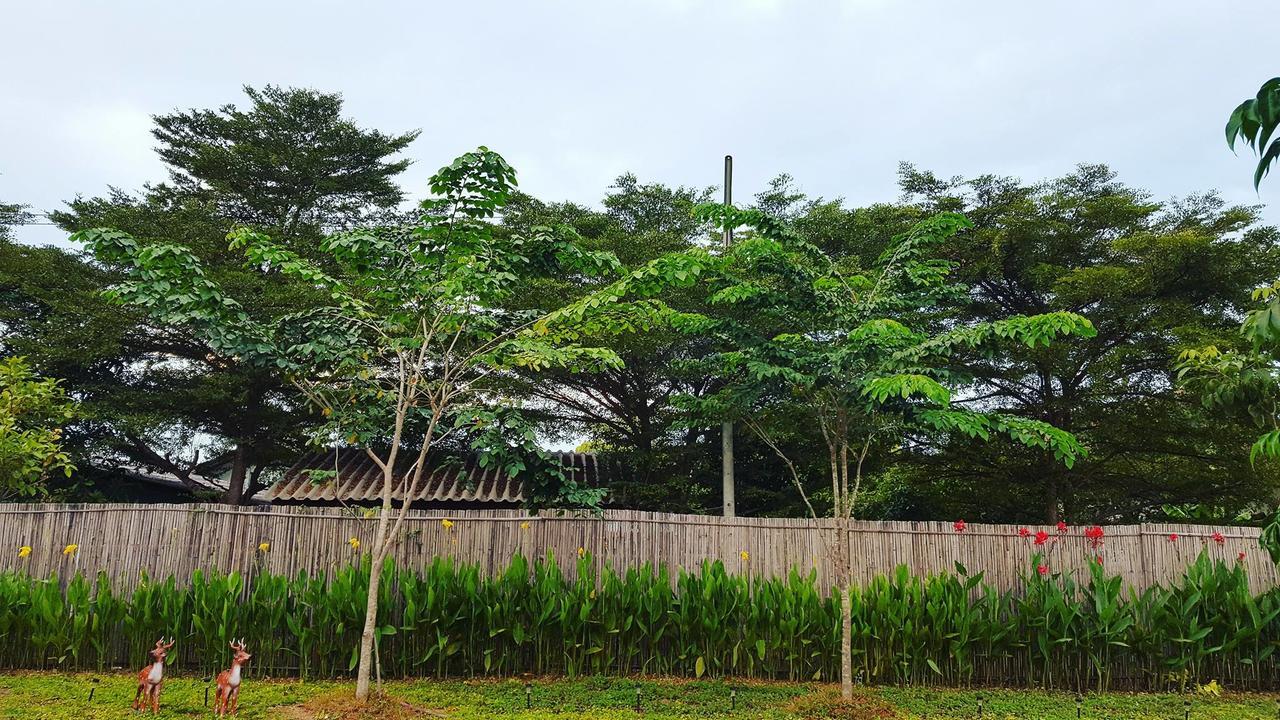 บ้านสวนมีดี ลำพูน Meedee Homestay Lamphun Ban Nong Pla Kho Exteriér fotografie