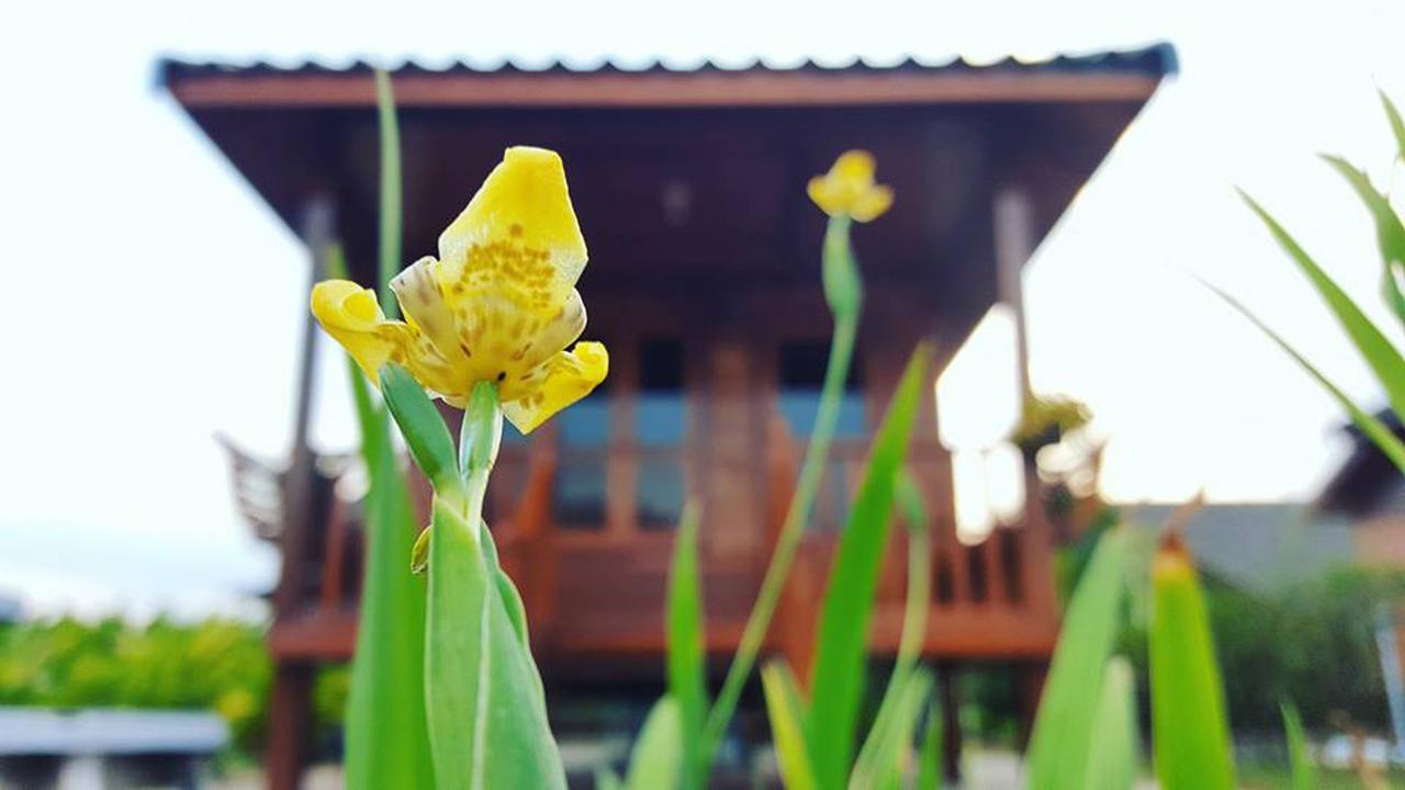 บ้านสวนมีดี ลำพูน Meedee Homestay Lamphun Ban Nong Pla Kho Exteriér fotografie