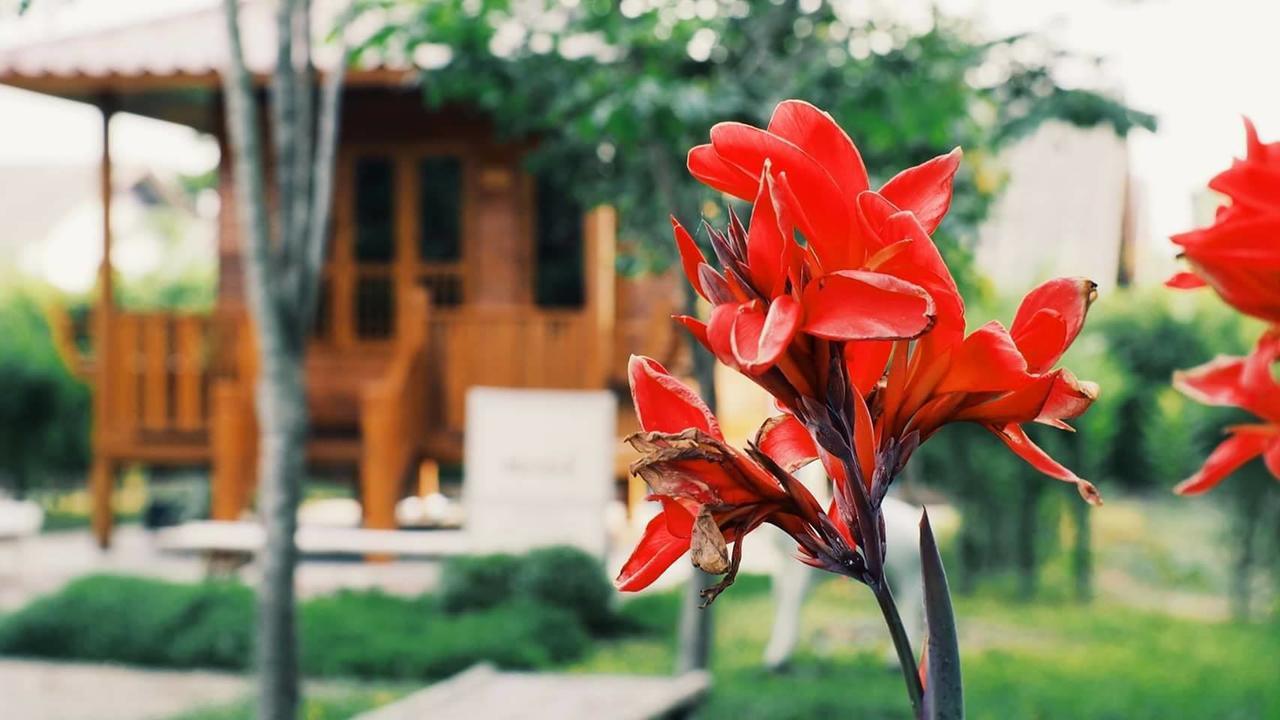 บ้านสวนมีดี ลำพูน Meedee Homestay Lamphun Ban Nong Pla Kho Exteriér fotografie
